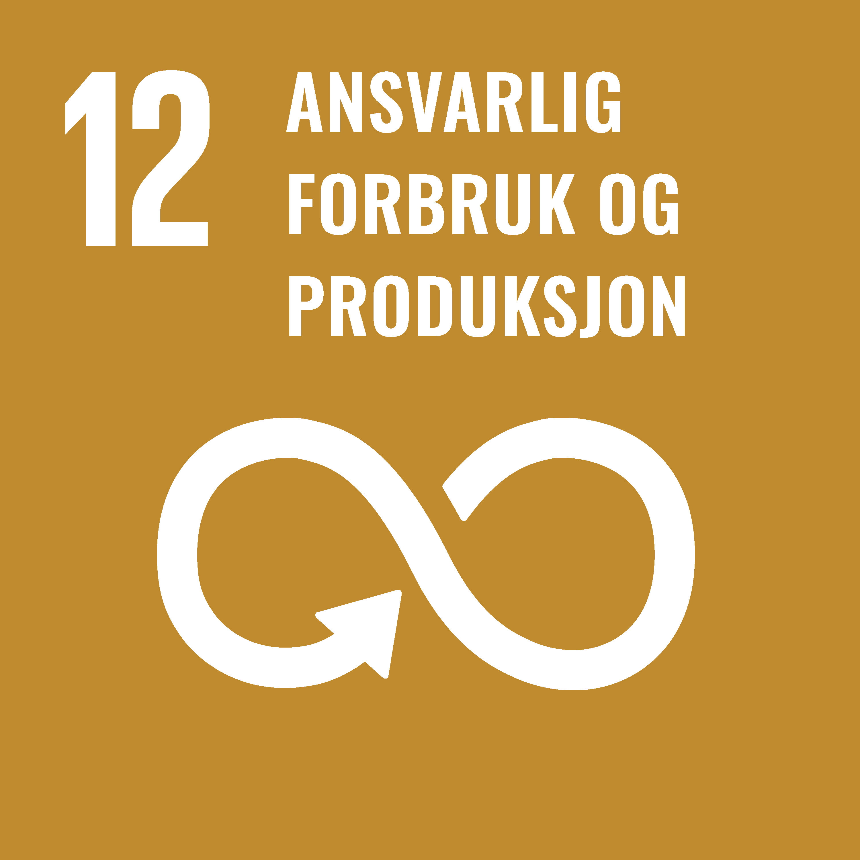 Go to https://www.fn.no/om-fn/fns-baerekraftsmaal/ansvarlig-forbruk-og-produksjon