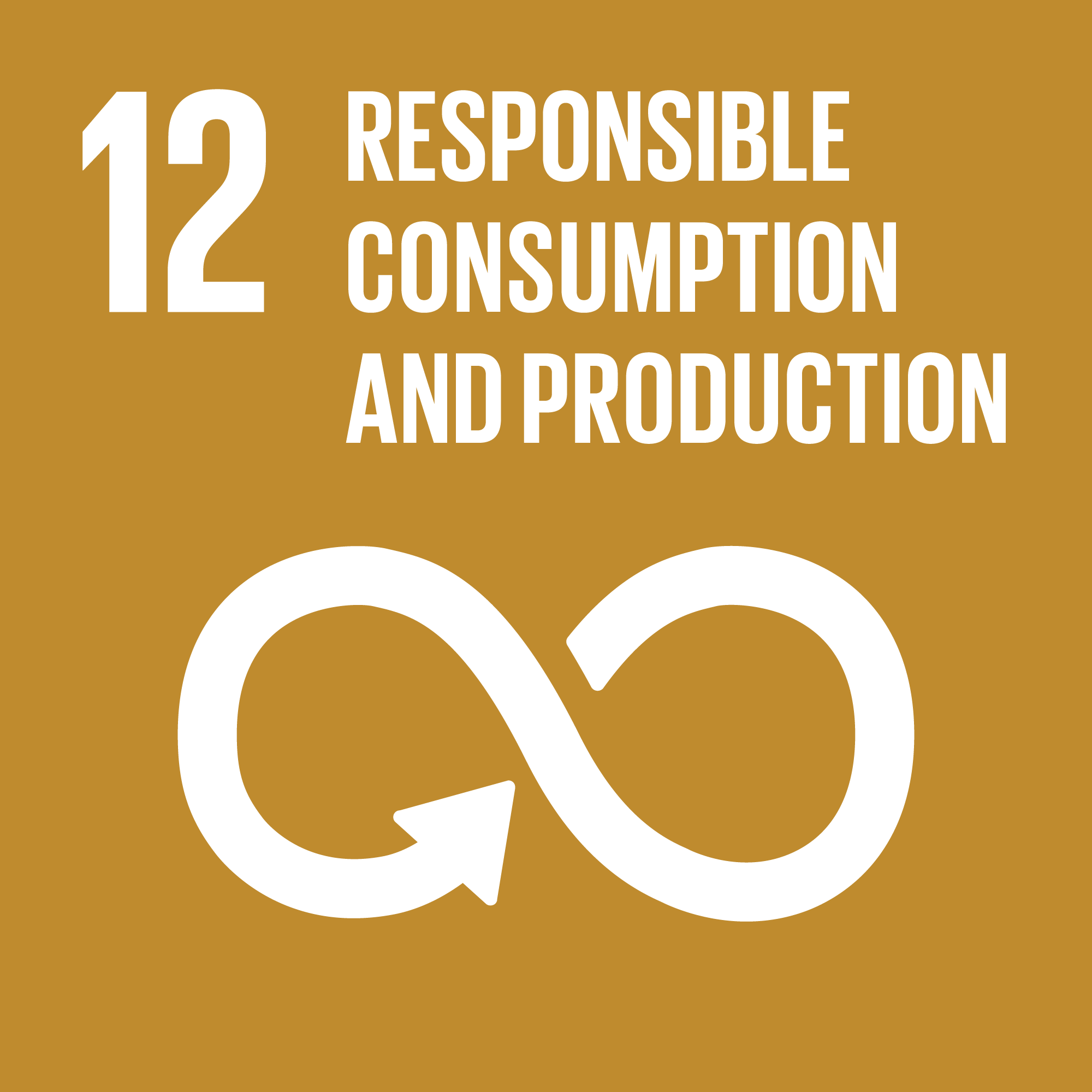 Go to https://www.globalgoals.org/12-responsible-consumption-and-production